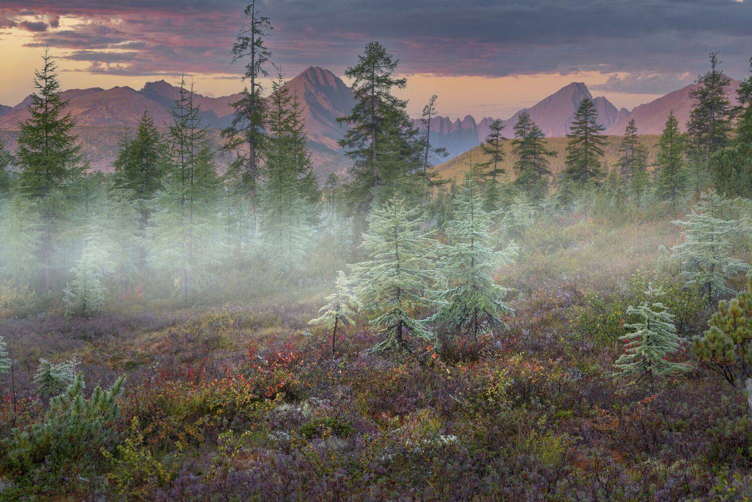 Фототуры с Владимиром Рябковым, #озероджекалондона #колыма #loves_russia #nikonrussia #landscape_russia #ru_landscape  #русскийсевер #landscapephotography #photoarena_nature #Russiannature #большаястрана #russpasibo #topnature #lovelyRussia #природаРоссии, Владимир Рябков