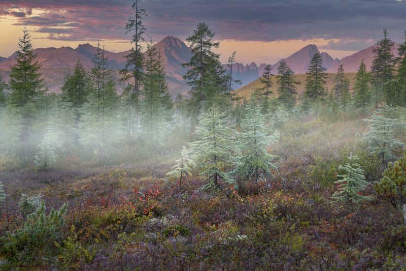 В начале осени... фото превью