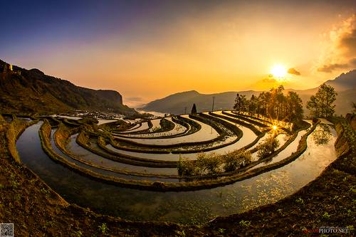 Terraced Fields at Dawn