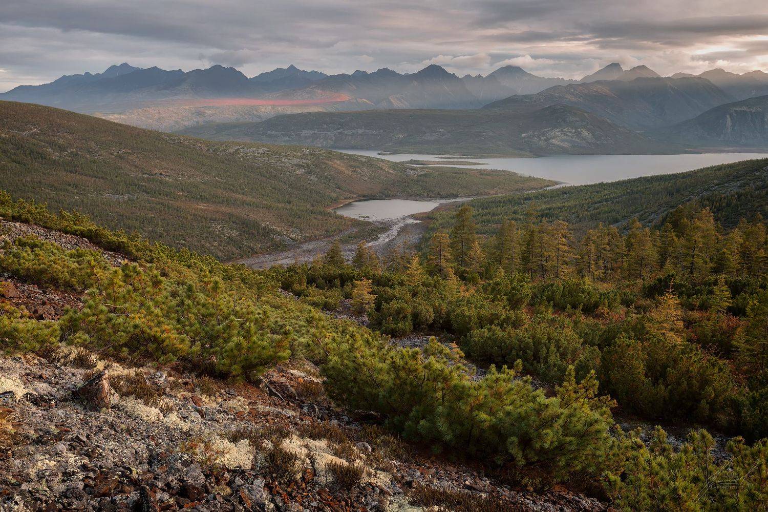 , Юрий Головченко