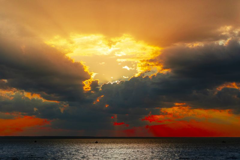 314 фото превью