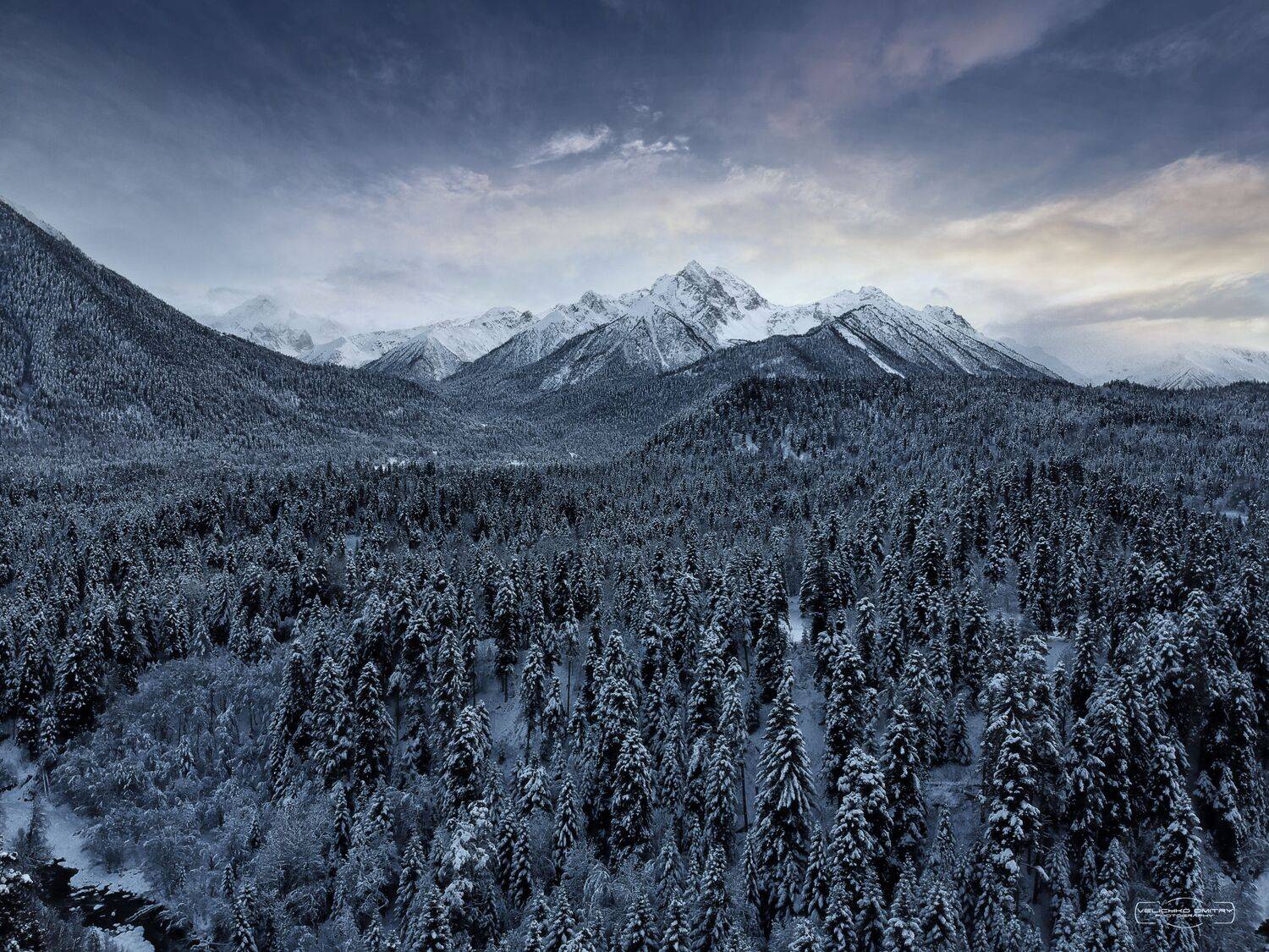 , Величко Дмитрий