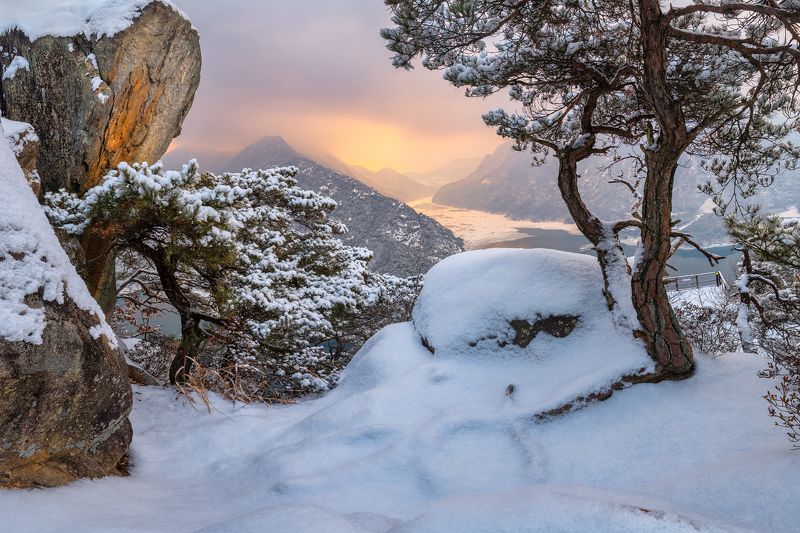 Winter, elements of life фото превью