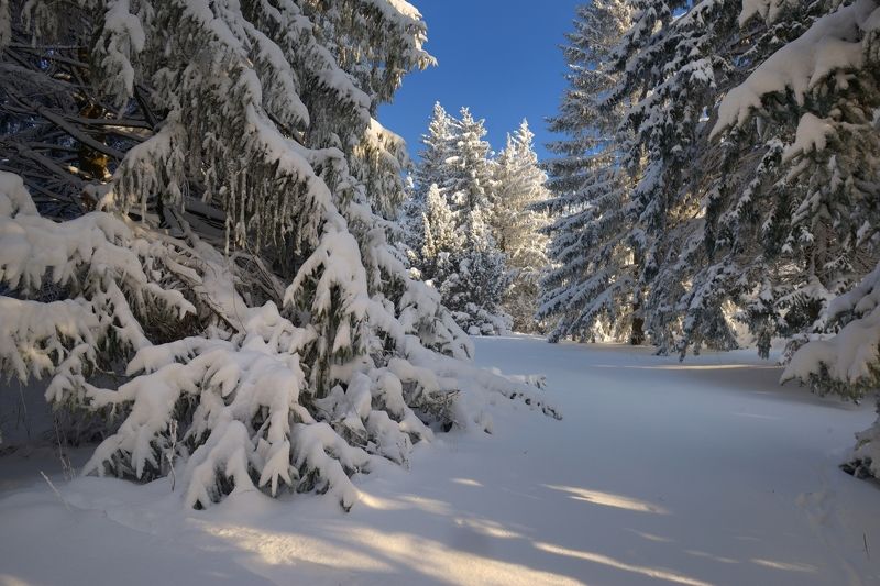 Зимнее утро фото превью