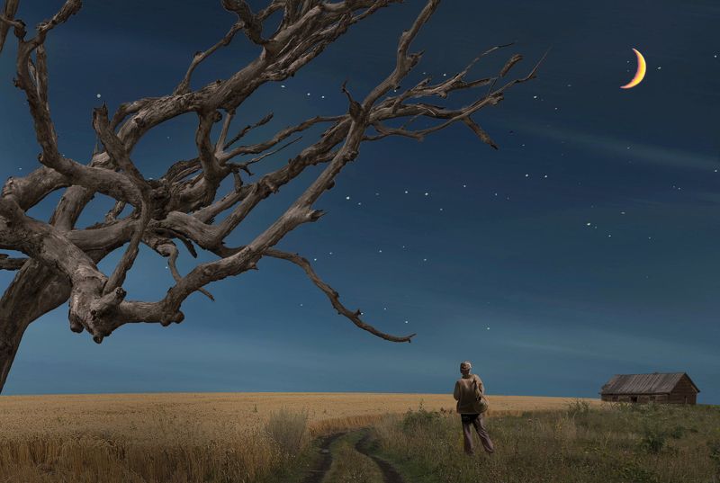 ночь,поле,звезды,луна,дерево,одиночество  фото превью