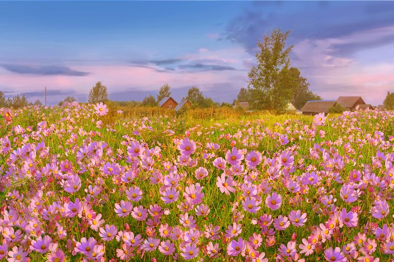 фото превью