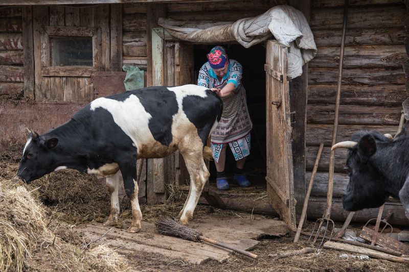 Ох уж эта Марта фото превью