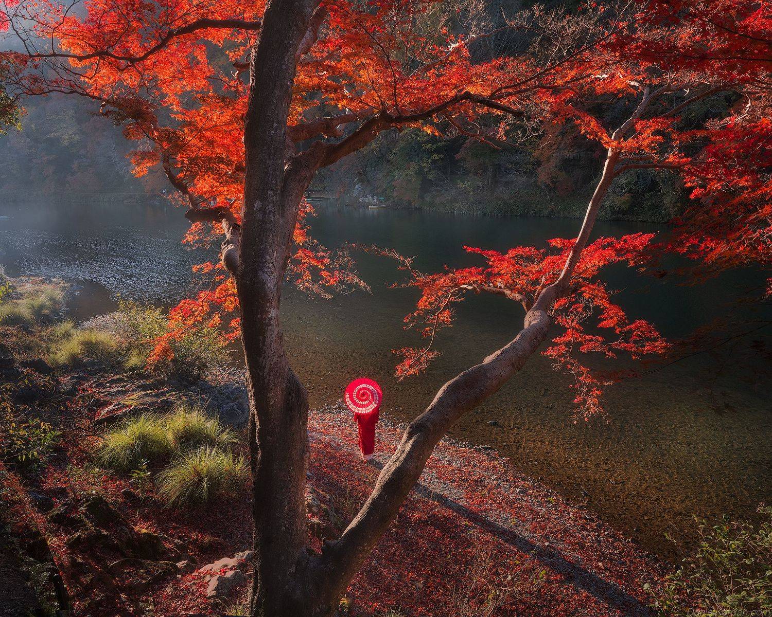 , Даниил Коржонов