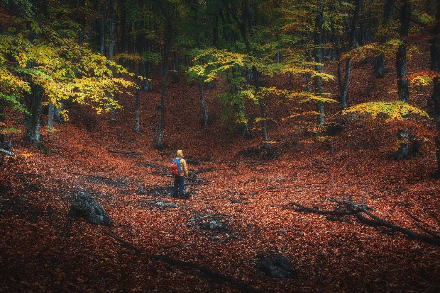 , Агеев Алексей