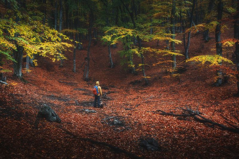 Осень фото превью