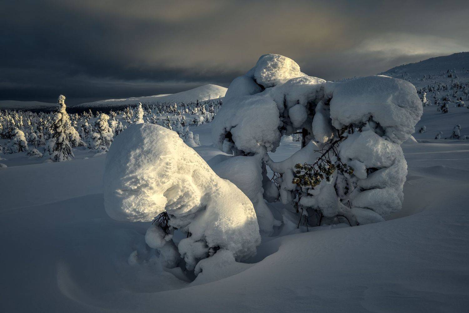 , Максим Евдокимов (phototourtravel.ru)
