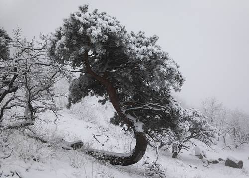 Зимние зарисовки..