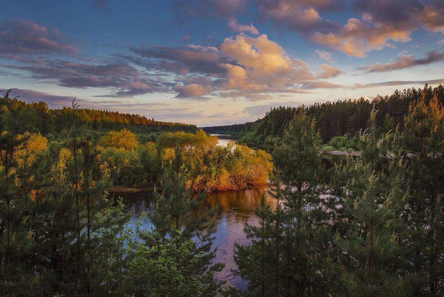 , Наталия Колтакова