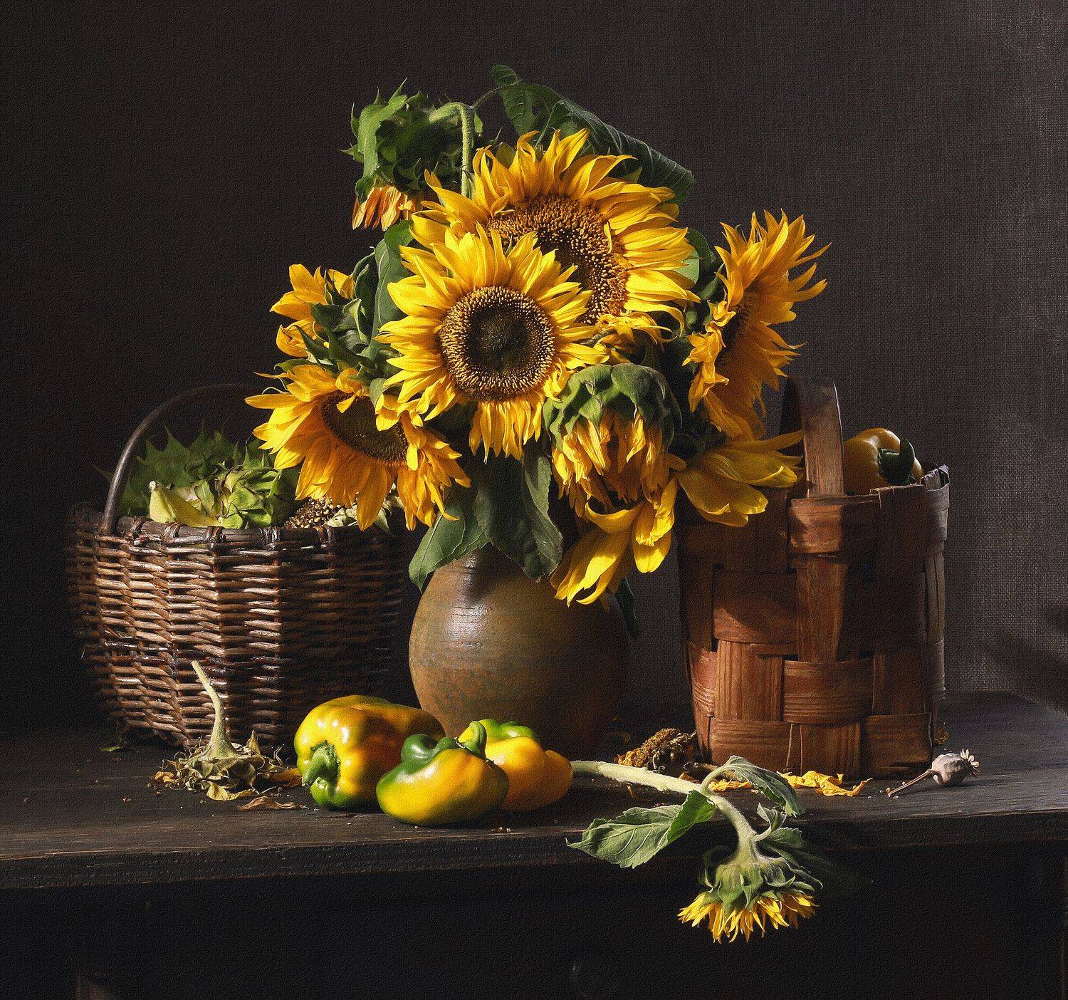 , Наталья Казанцева