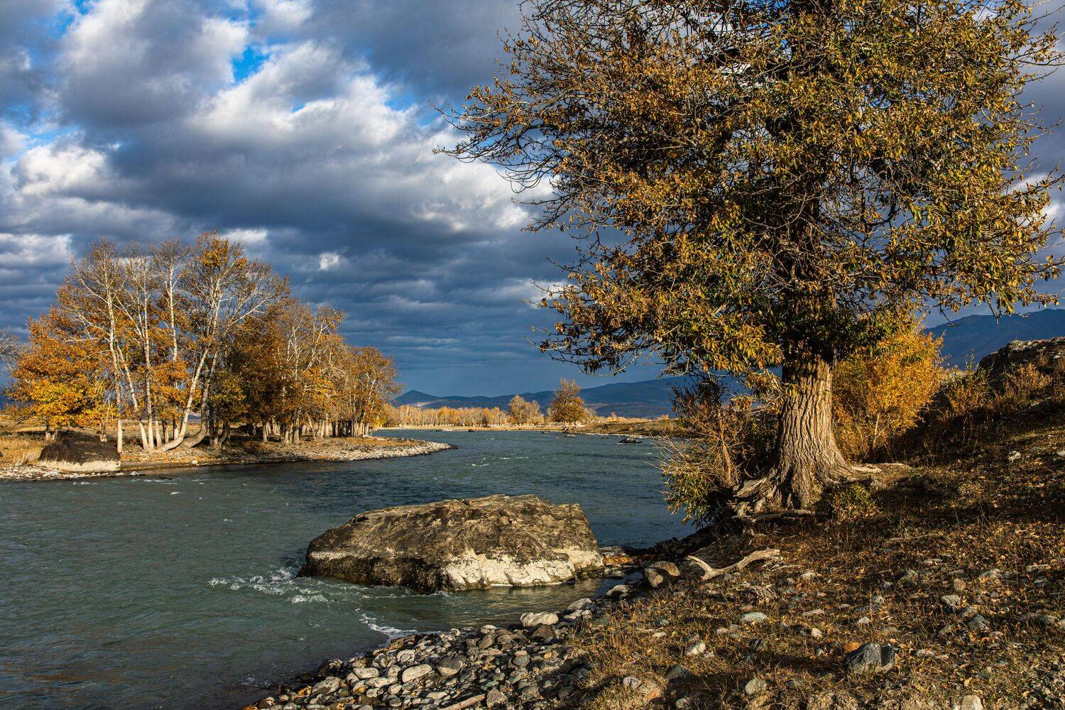 Алтай, Сергей