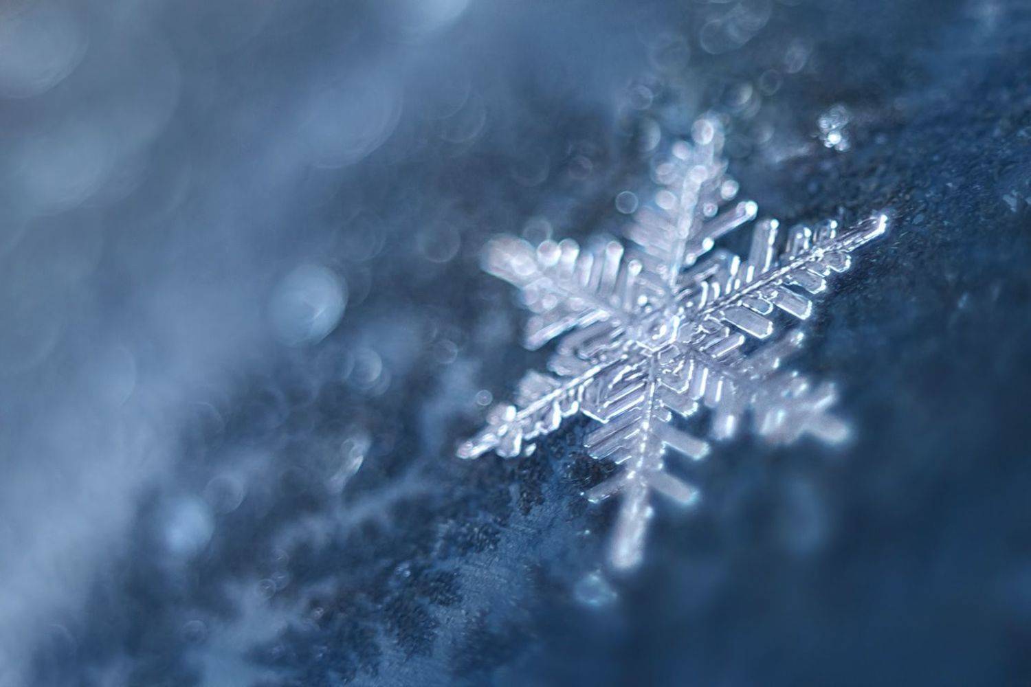 , Алёна Сурнина