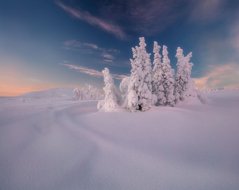 гух *** фото превью