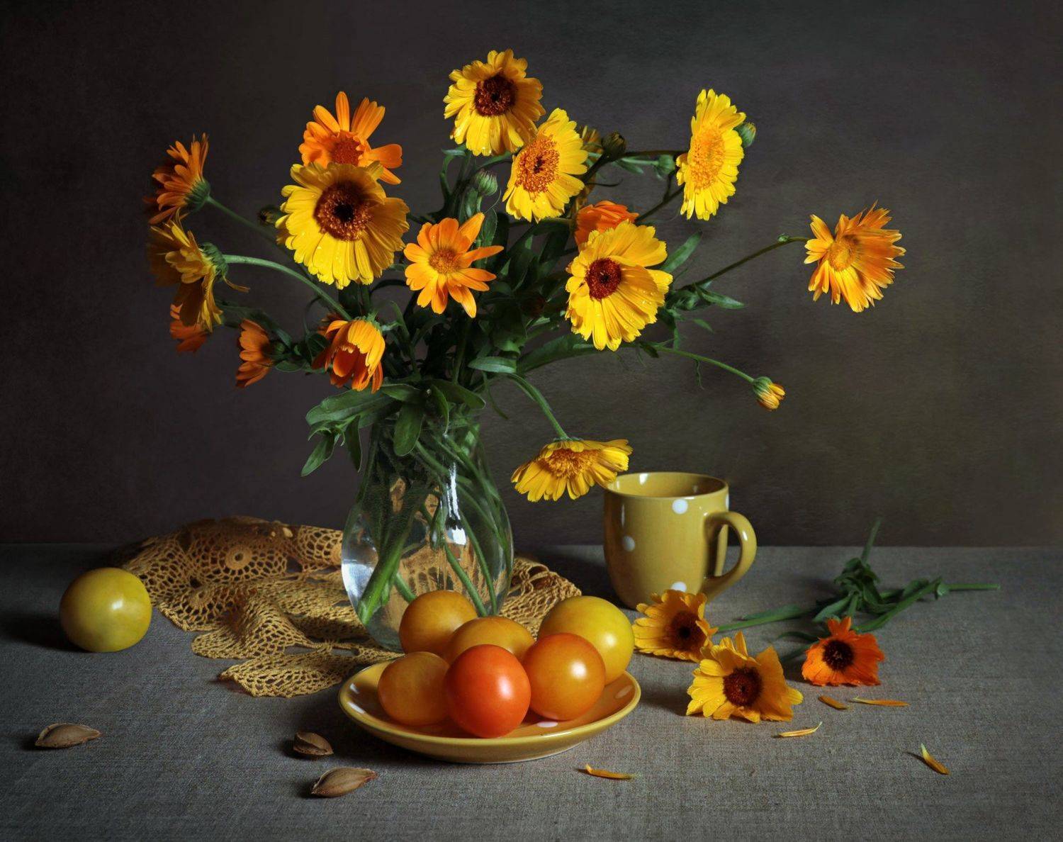 , Вера Лопатина