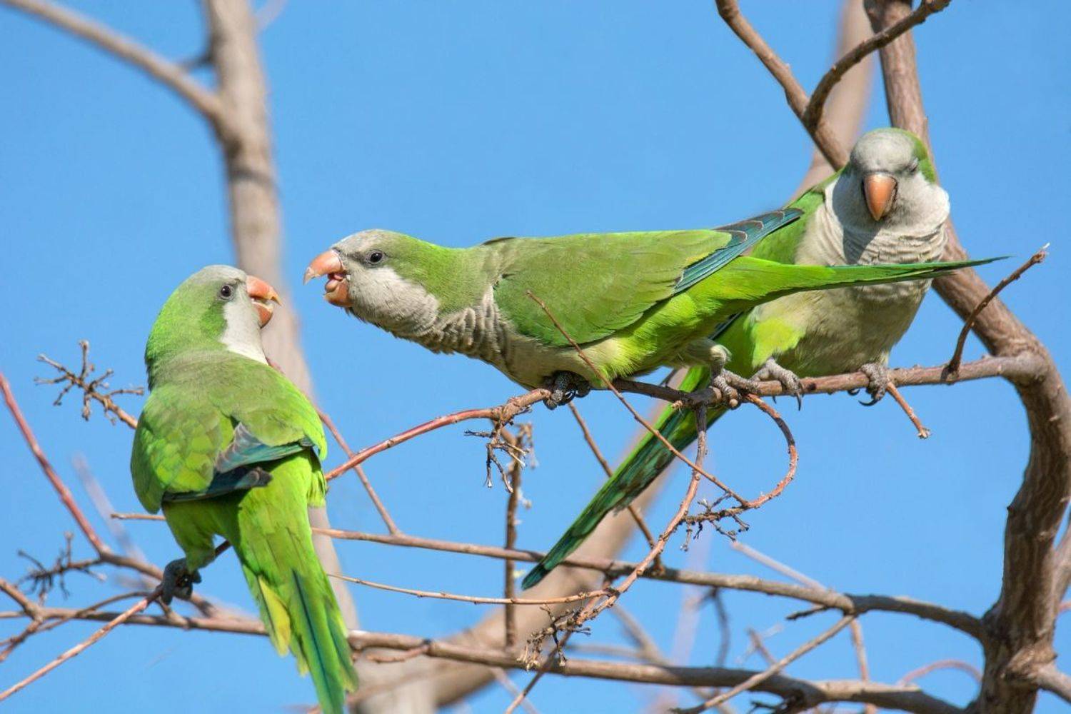 , Людмила Бекман