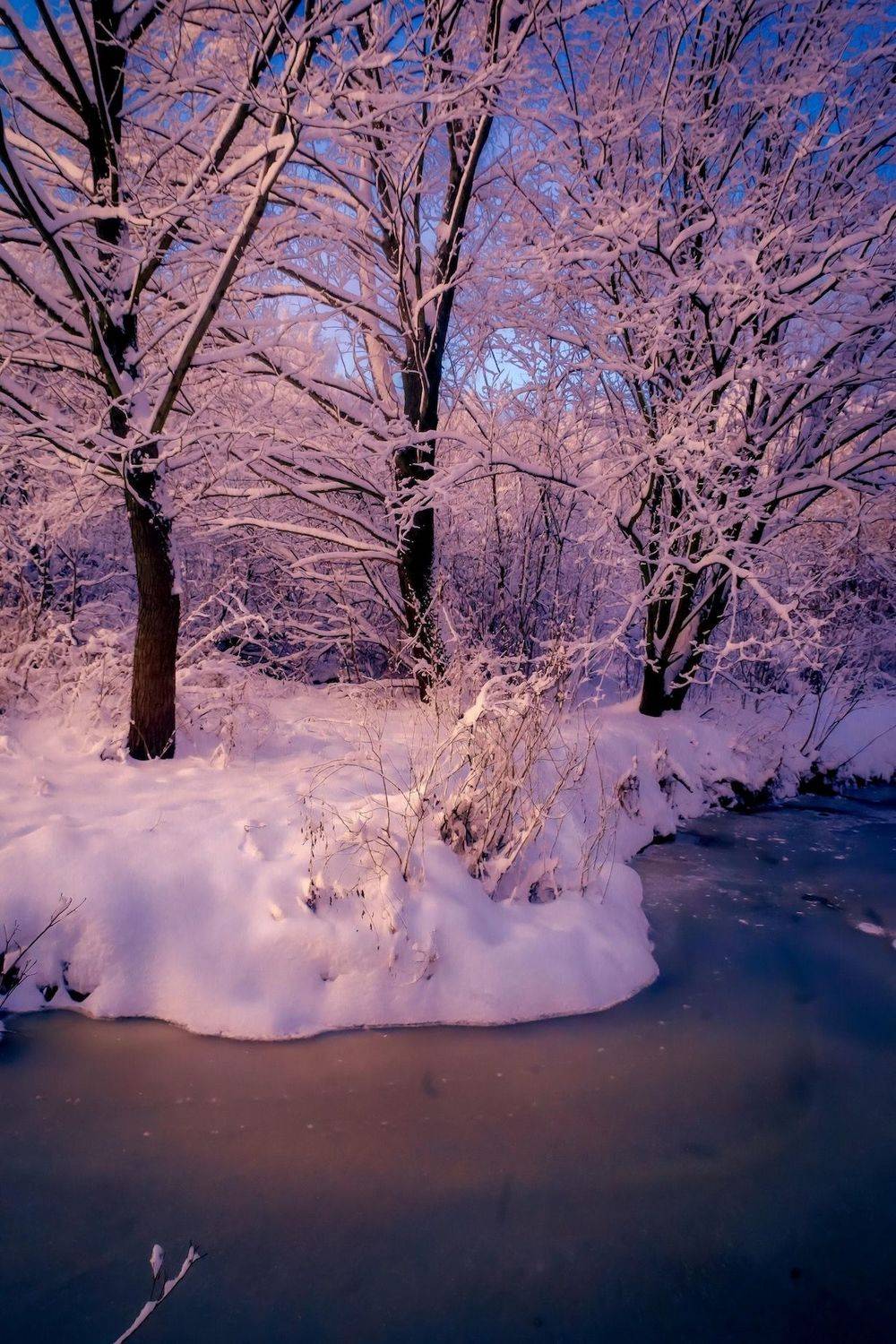 зима, winter, природа, nature, landscape, пейзаж, лес, forest, закат, sunset, Julia Kaissa