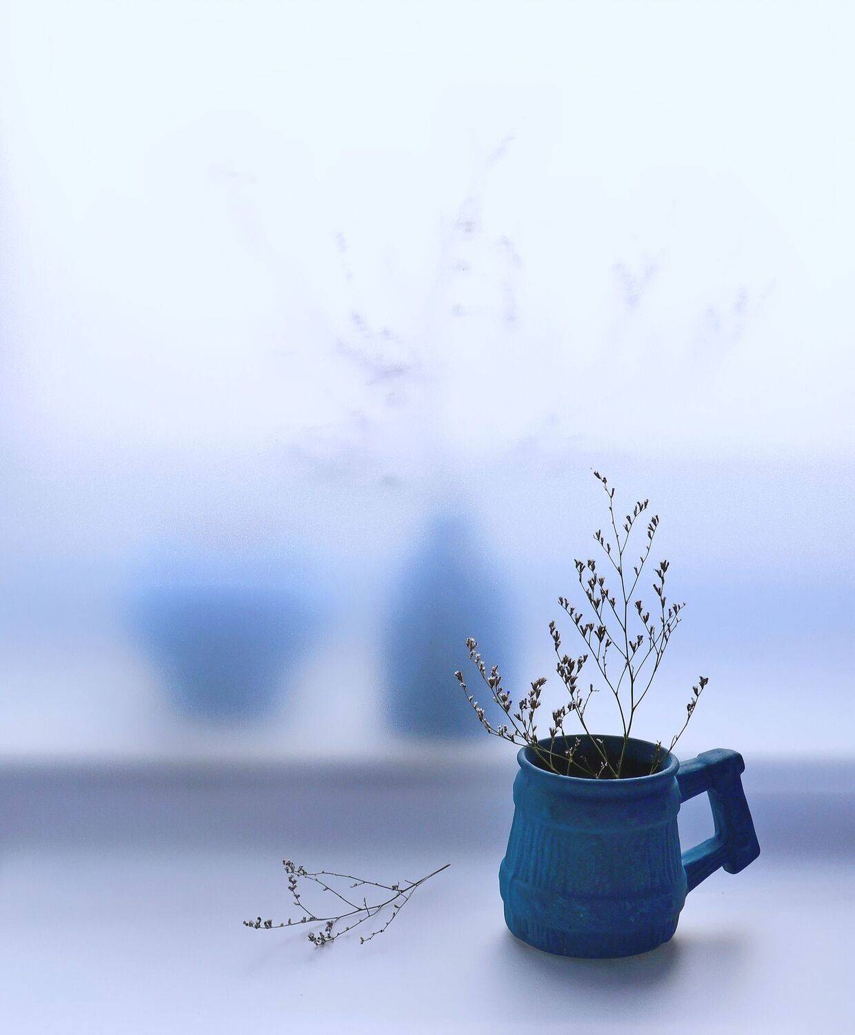 кружка,кермек,свет,цвет, Инаида