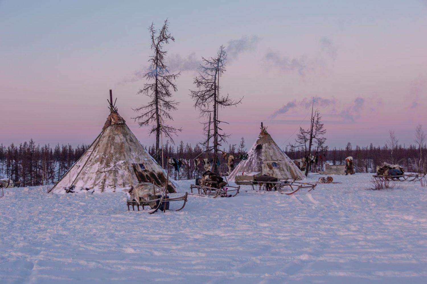 русский север, янао, полярный круг, стойбище оленеводов, на закате дня, мороз, Кетова Вера