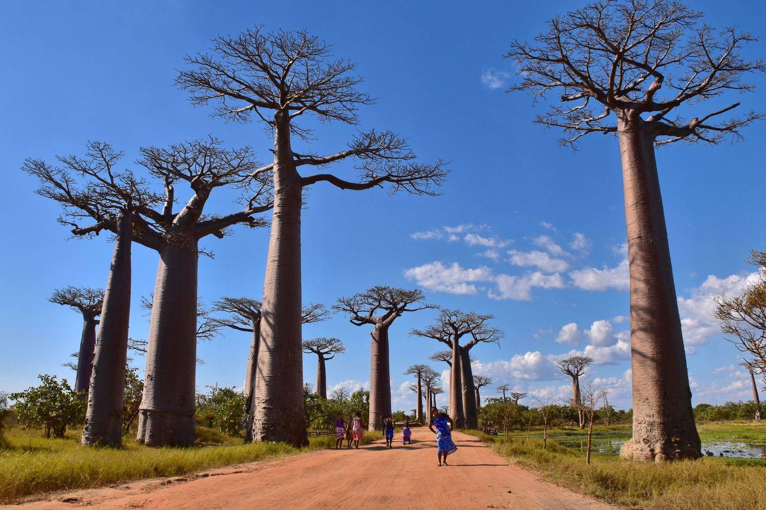 пейзаж, природа, путешествие, Наталия Щербина