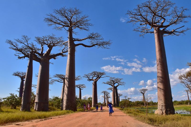 пейзаж, природа, путешествие Сфотографируй меня, если сможешь фото превью