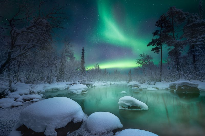 кольский полуостров, кольский, зима, winter, snow, kola peninsula, forest Spirits of winter фото превью
