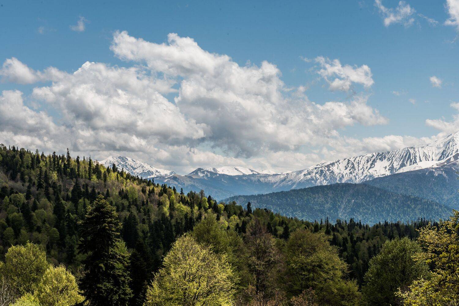 горы, адыгея, весна, снежные, вершины, лес, пейзаж, Дмитрий Величко