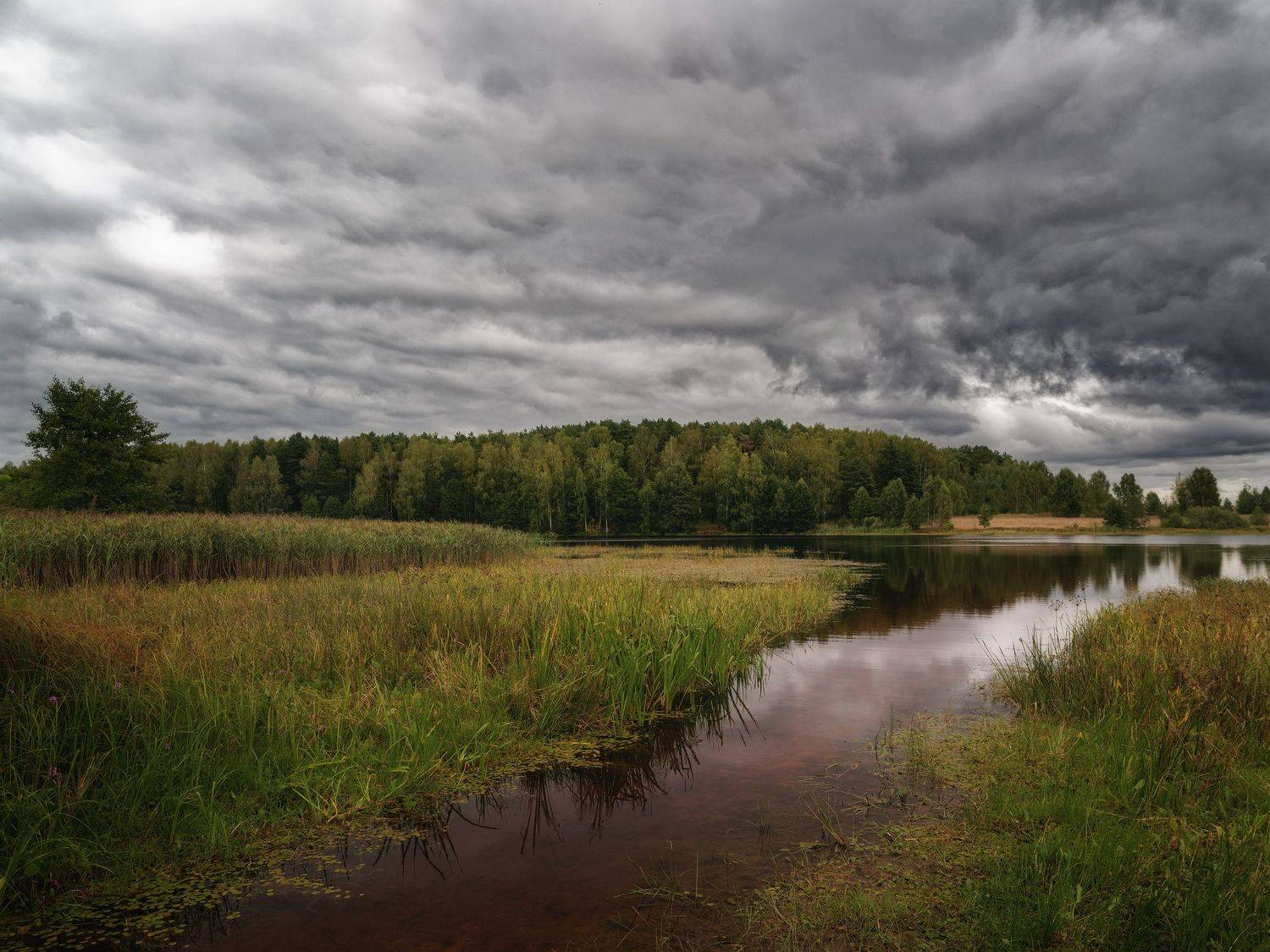 пасмурно, река, осень,  Алексей