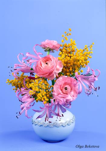 Ранункулюсы