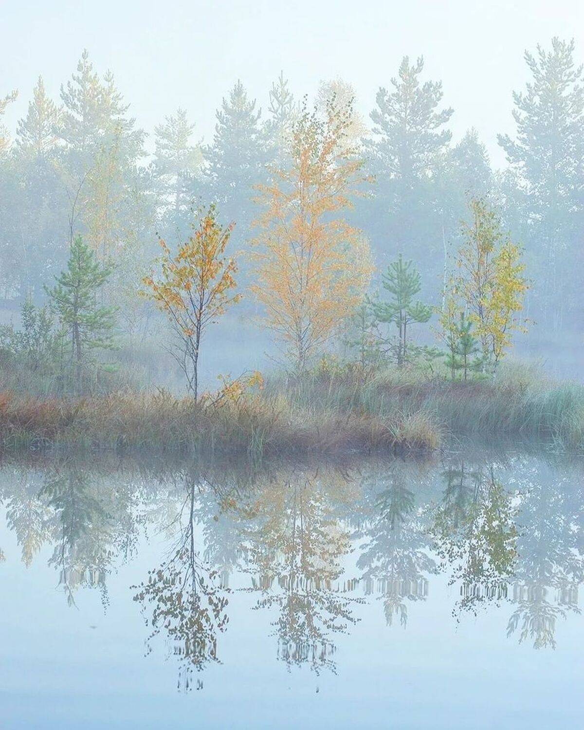 , Петр Косых