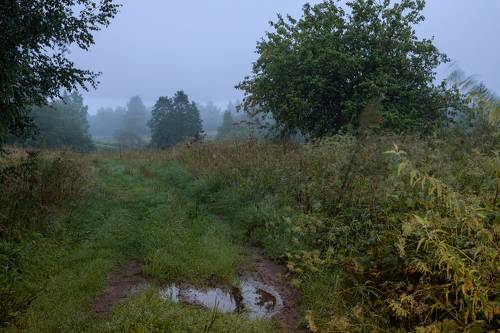 Холодное лето