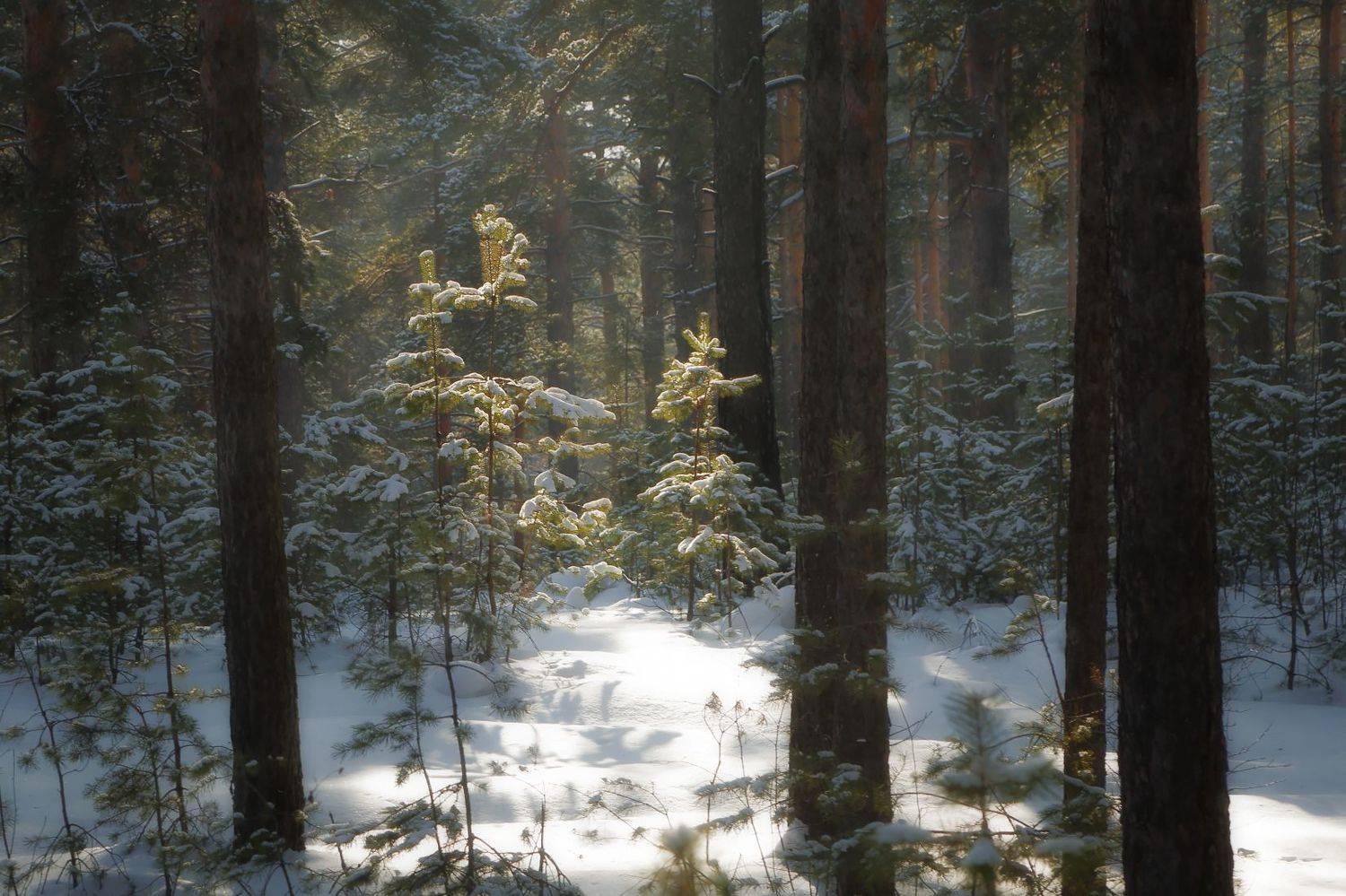 , Евгений Зинов