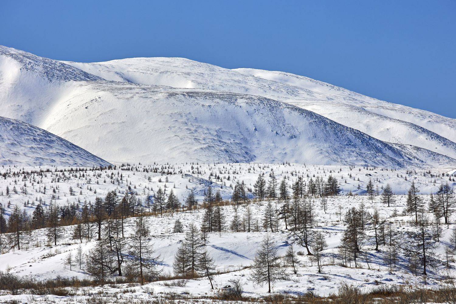 , Байбородин Михаил