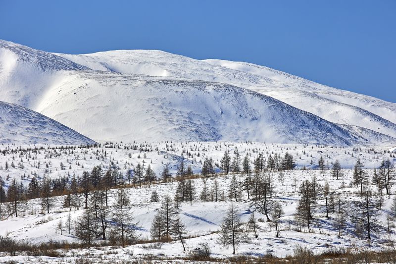 На границе с Монголией фото превью