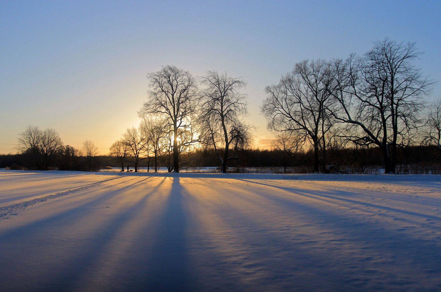 , Сергей Григорьев