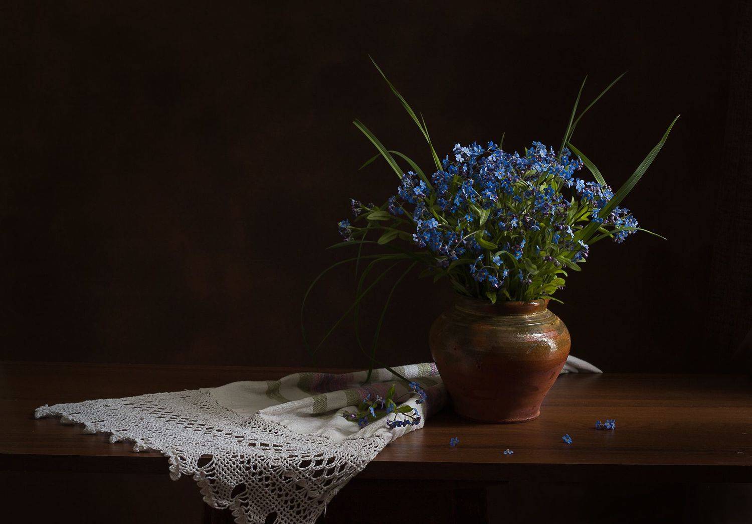 , Хвойнова Елена