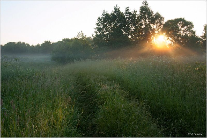 утро,рассвет,солнце,роса,июль Утро июля фото превью