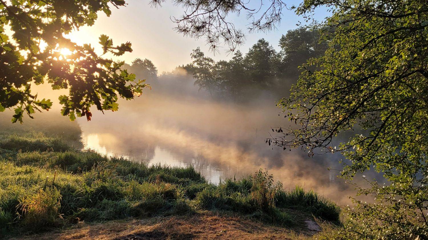 , Сергей Шляга