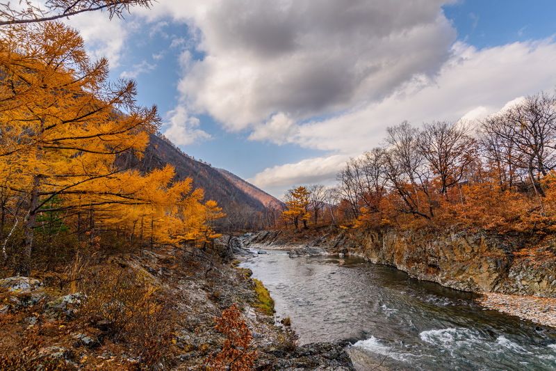 Осень... фото превью