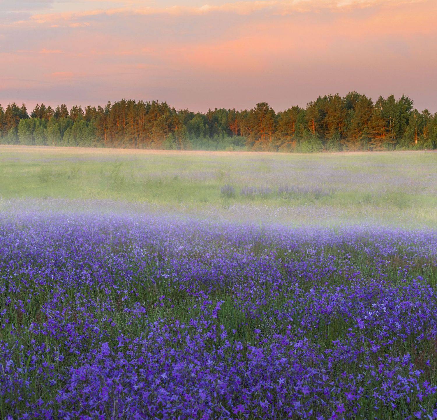 Фототуры с Владимиром Рябковым, #topnature #russpasibo #magic_shots #lovelyRussia #sunset_vision #exclusive_sky  #exclusive_shots #loves_russia2 #photoarena_nature #nature_sultans #nature_perfection #rsa_sky #rsa_sunset #photorussia #rsa_naturepics #sunse, Владимир Рябков