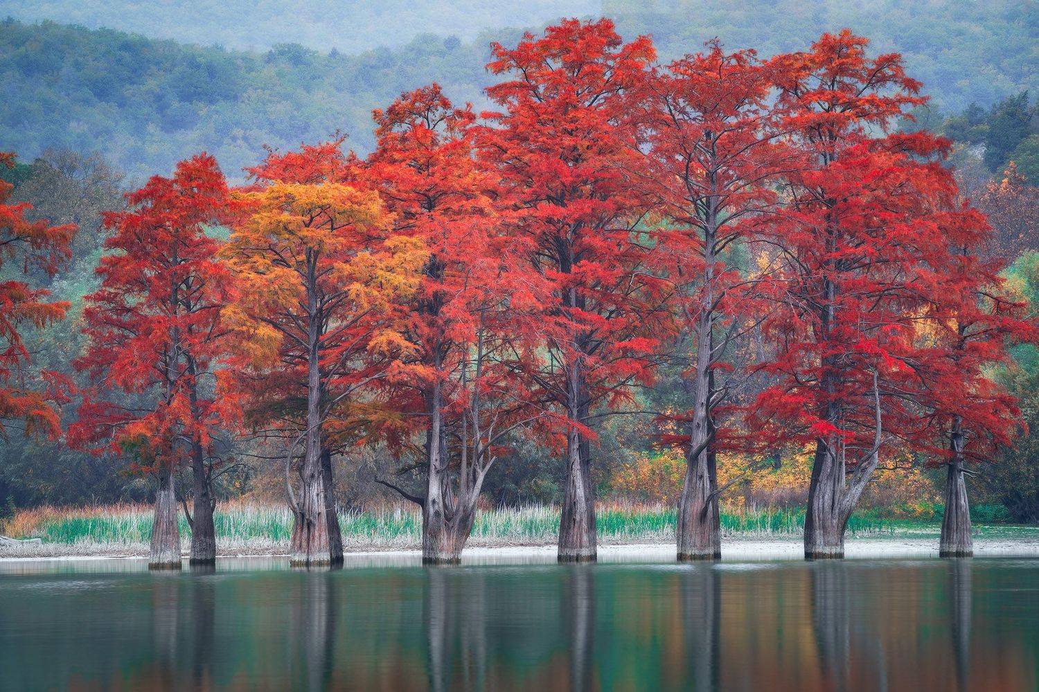 , Костенко Александр