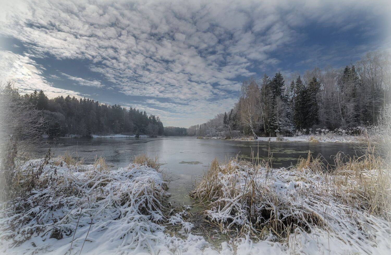 снег, вода, лес, Сергей Аникин