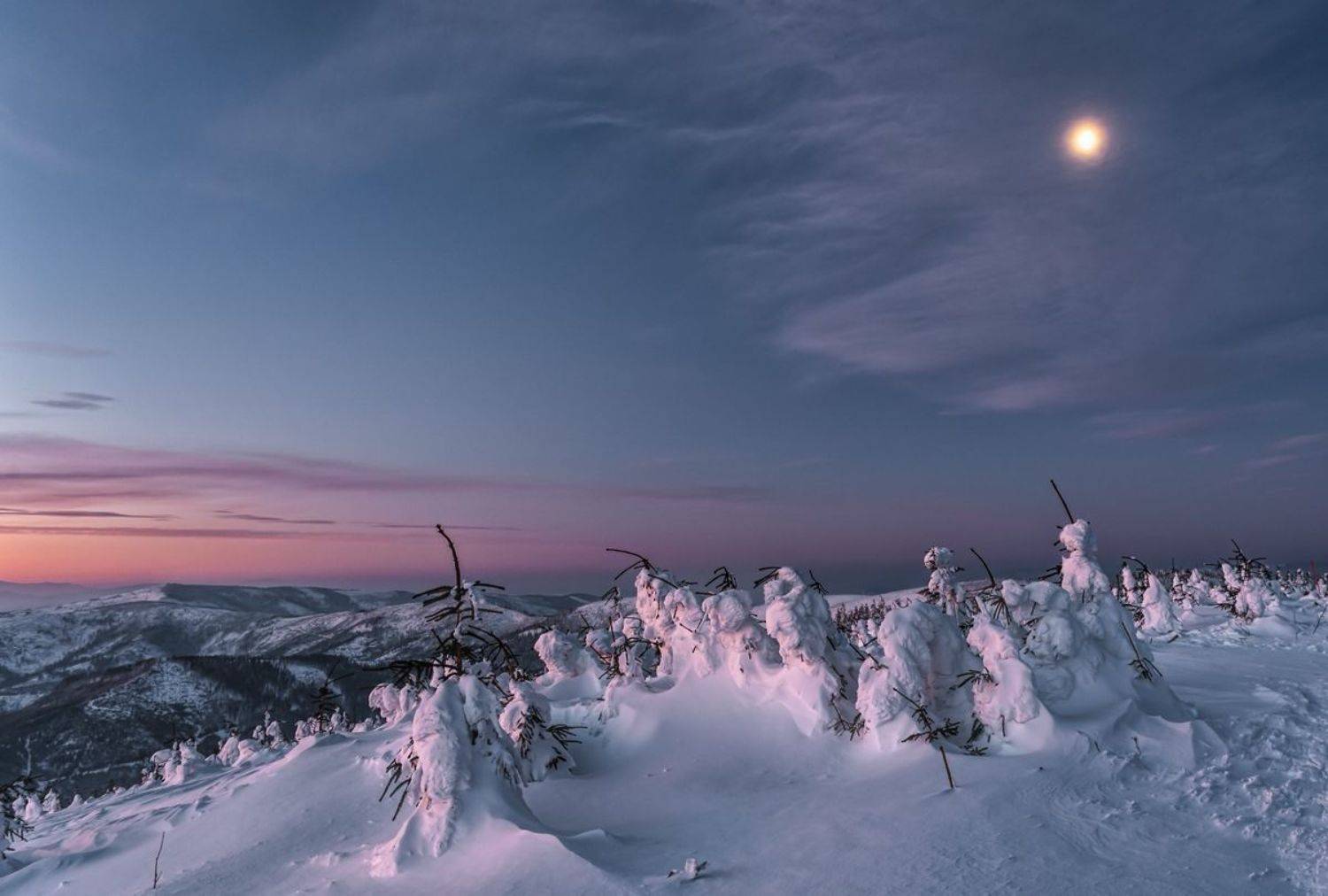 , Sławek Przybylski