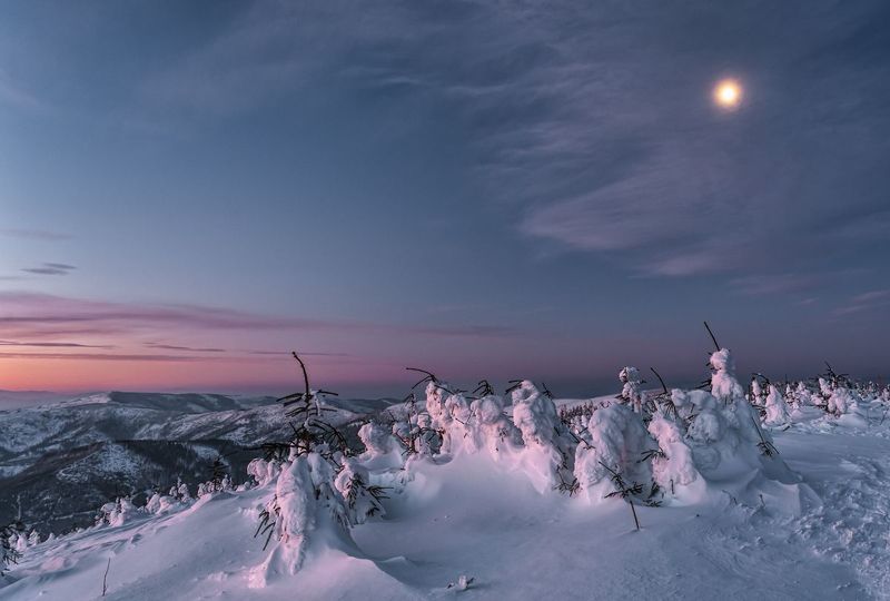 O świcie фото превью