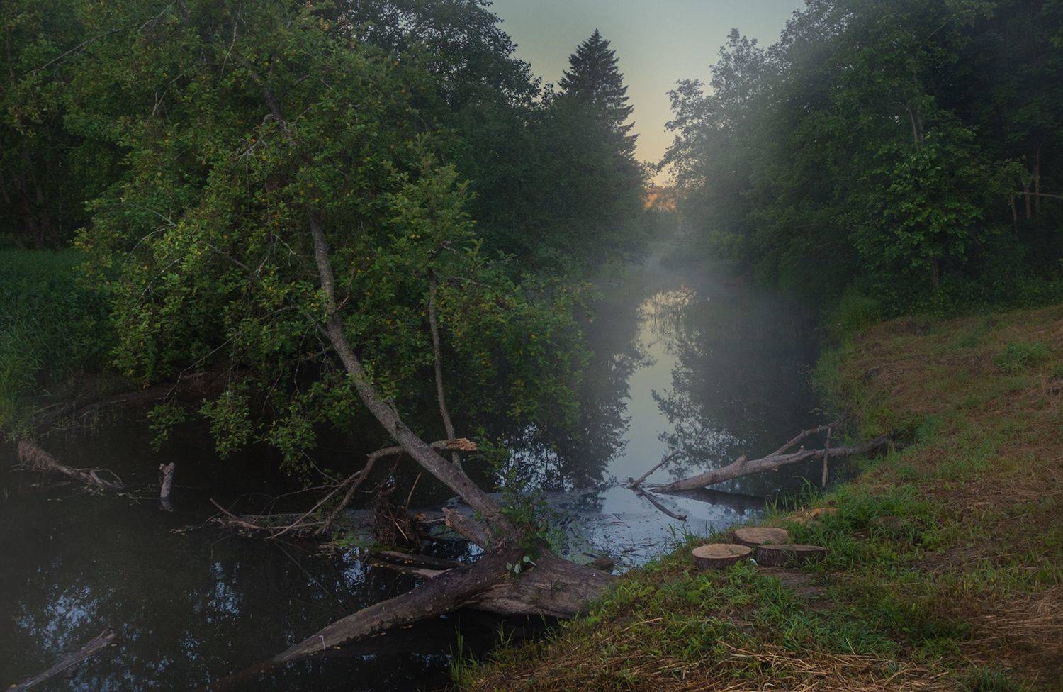 , Елена Рубинская