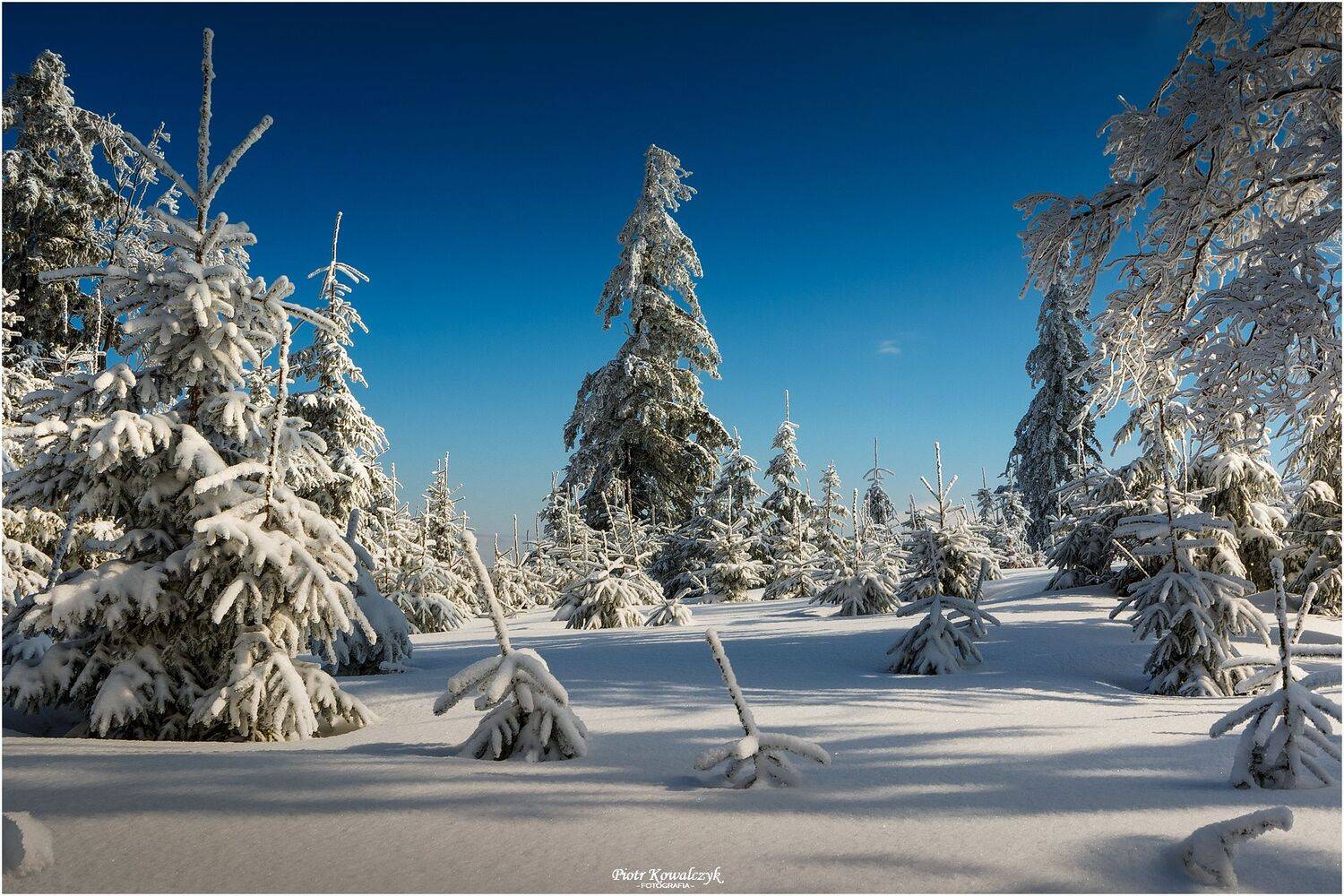 polska, zima, Kowalczyk Piotr
