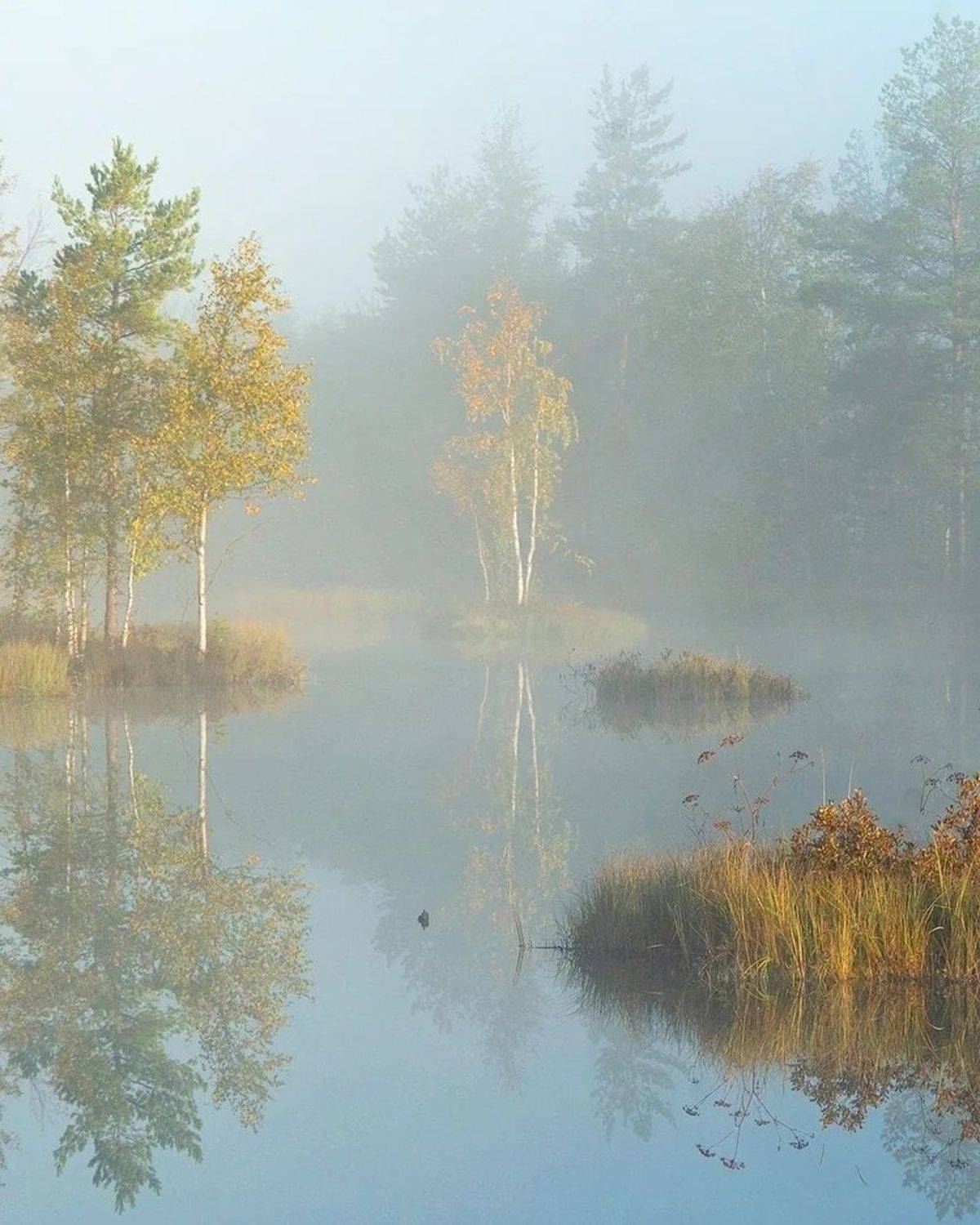 , Петр Косых